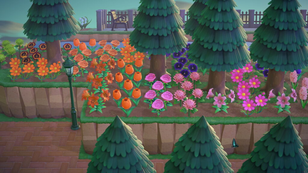 お花畑