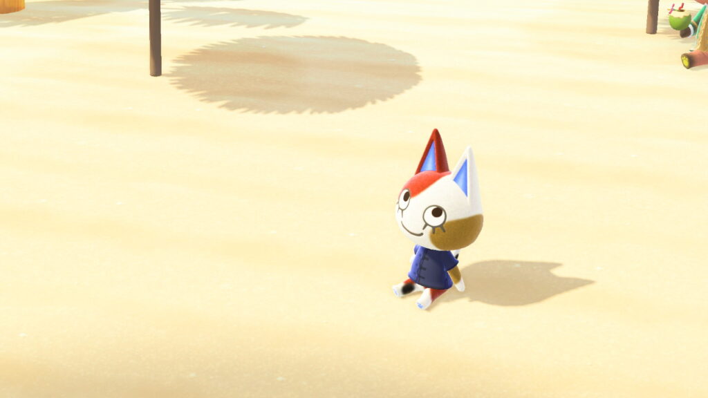 たま姉さん