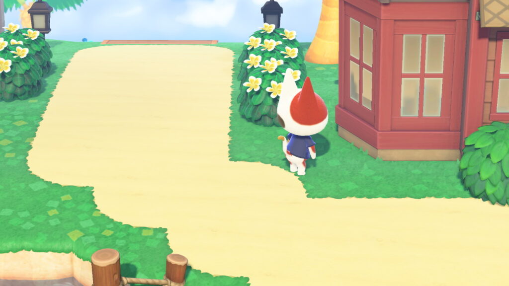たま姉さん
