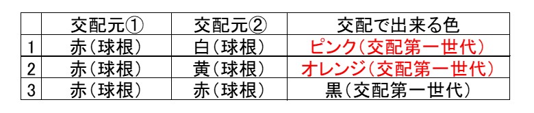 交配表(ゆり)