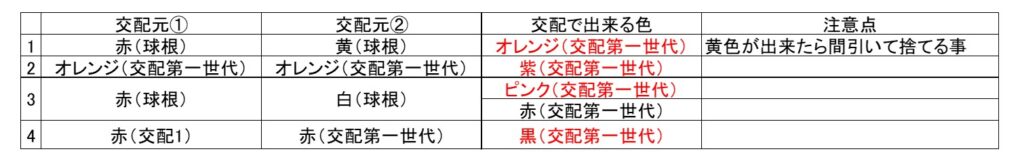 交配表(チューリップ)
