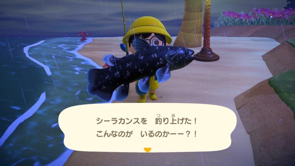 シーラカンス