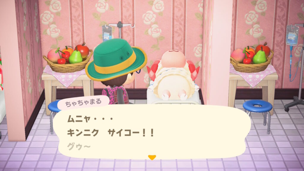 毛むくじゃらの家畜（ちゃちゃまる）