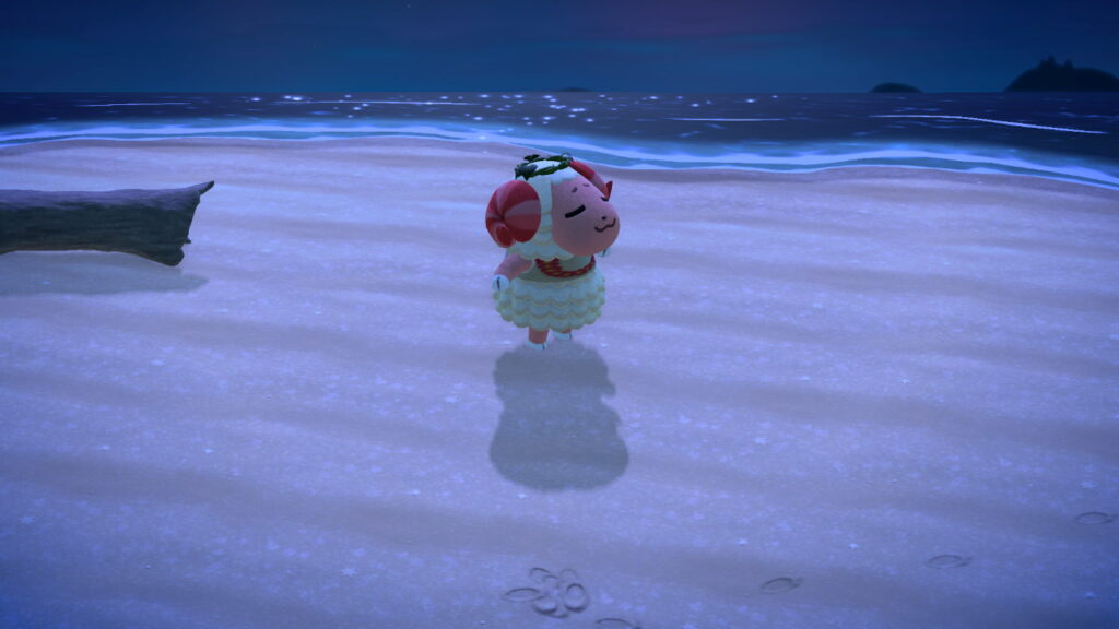 ちゃちゃまる(ウール95%の毛むくじゃらの家畜)