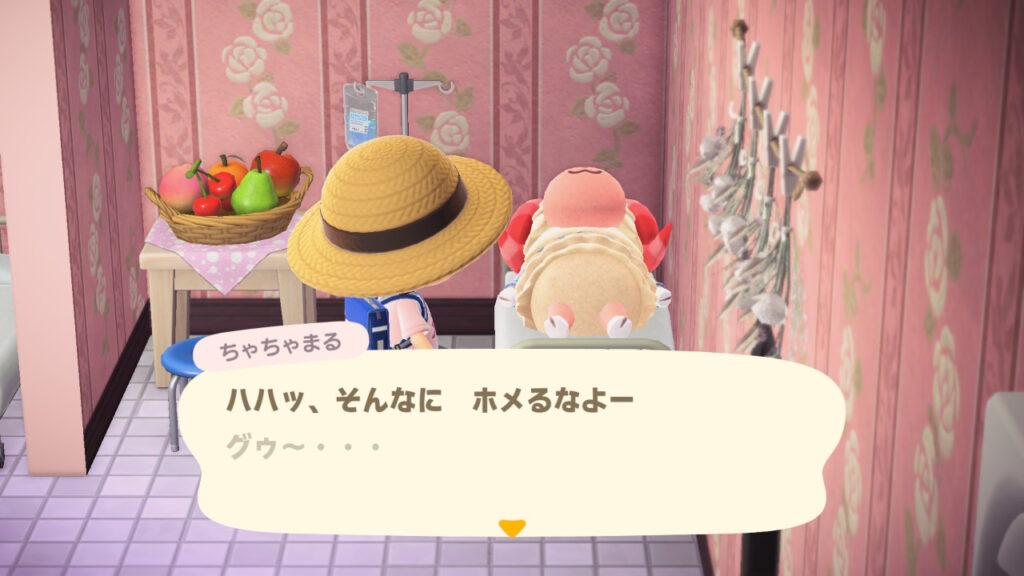 ウール95％の毛むくじゃらの家畜（ちゃちゃまる）