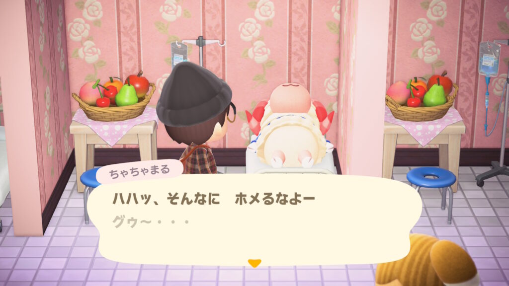 ウール95%の毛むくじゃらの家畜(ちゃちゃまる)