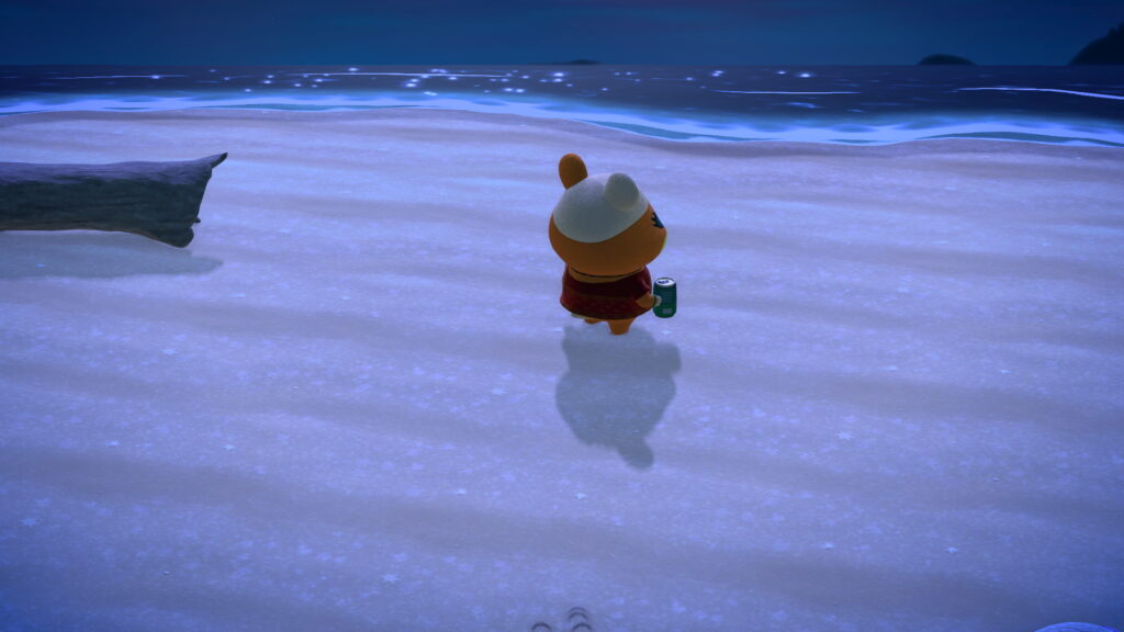 シャンティ姐さん