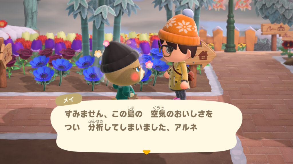 メイちゃん