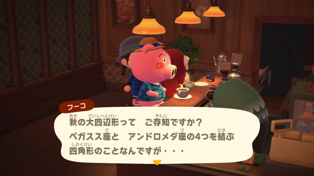 フーコちゃん①