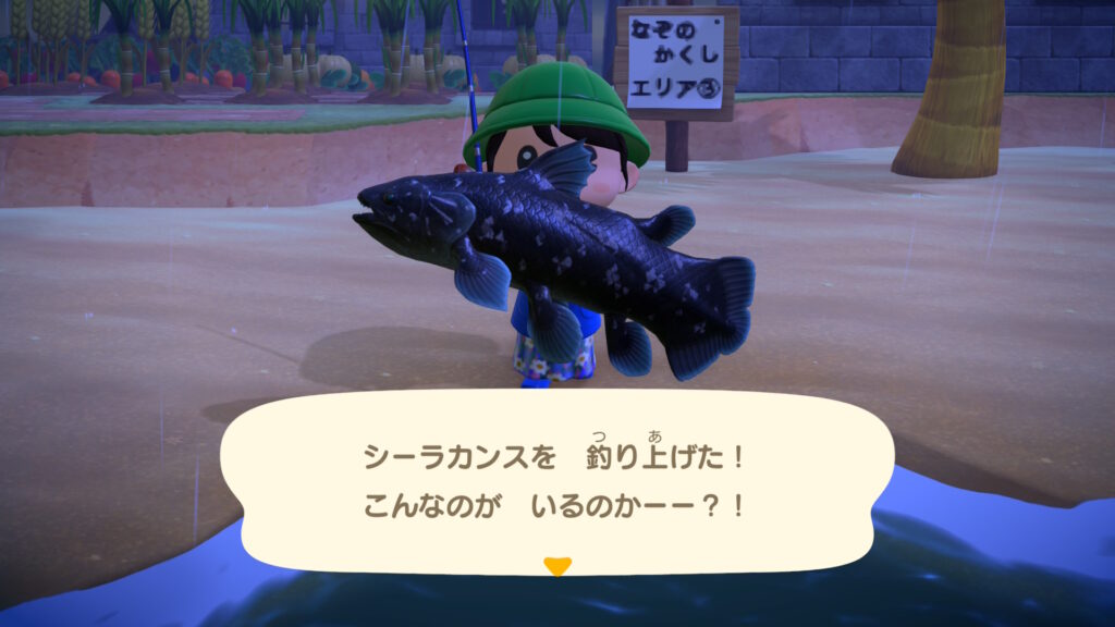 シーラカンス